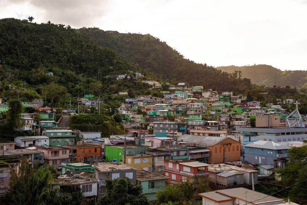 FBC_DFG_PR_Naranjito_00001